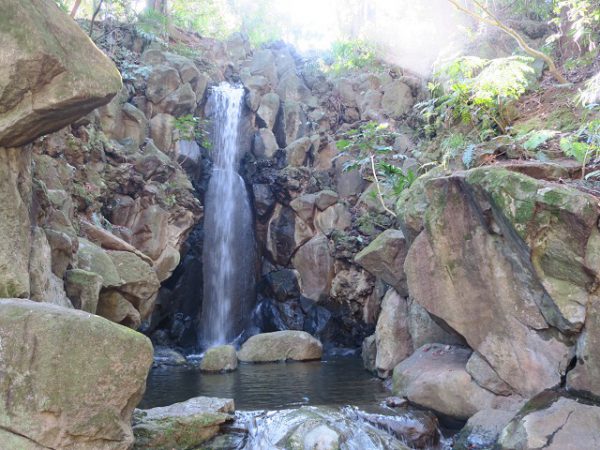 成田山公園　雄飛の滝